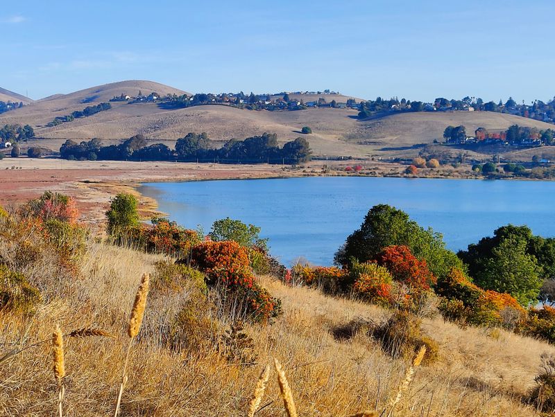 12 California State Recreation Areas Perfect For A Quiet September Escape - Decor Hint Benicia State Recreation Area, Benicia