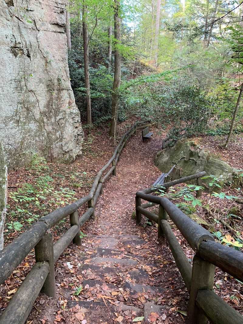Migrating To Rocky Winter Dens