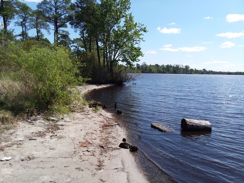 These 12 Free North Carolina Coastal Camping Spots Feel Like Places You Were Never Supposed To Find - Decor Hint Catfish Lake South Wilderness, Croatan National Forest