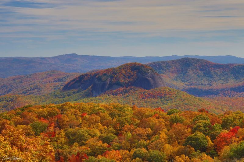 Thousands Of Monarch Butterflies Are Passing Through North Carolina’s Mountains This Fall - Decor Hint Time Your Visit For The Heart Of The September And October Migration