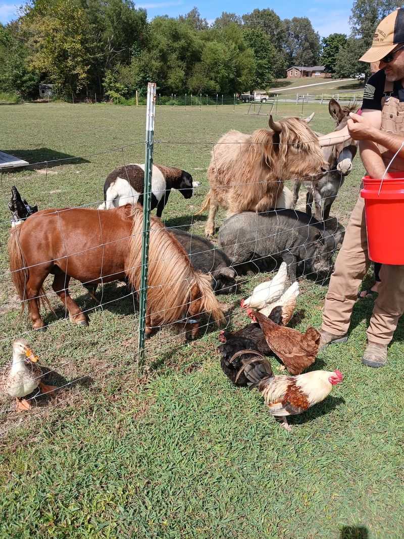 Parties, Reunions, And Team Days In The Country