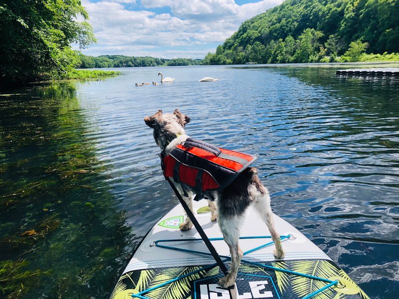 A Small Connecticut Lake That Packs In More Fishing Than You’d Expect - Decor Hint Swimming And Paddling Fill Warm Summer Days