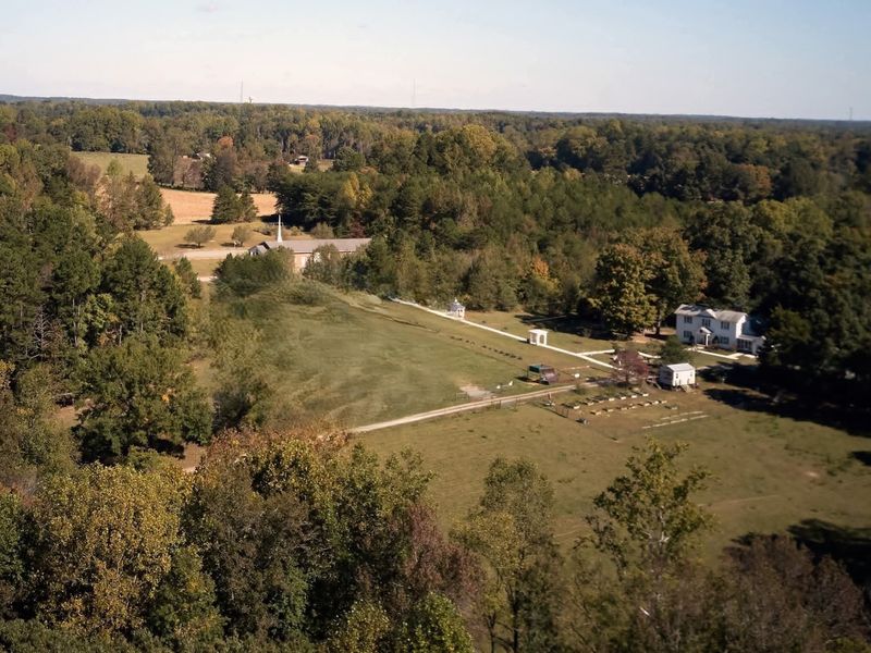 Know How To Book Your Pawpaw-Picking Visit Before You Go