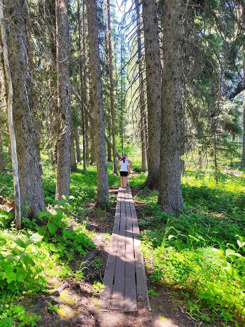 Lily Marsh Trail At Ponderosa State Park, McCall