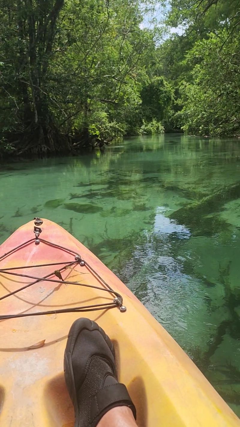 Florida's Oldest Roadside Attraction Still Stages Live Mermaid Shows in a Spring-Fed Theater - Decor Hint Paddling the Weeki Wachee River