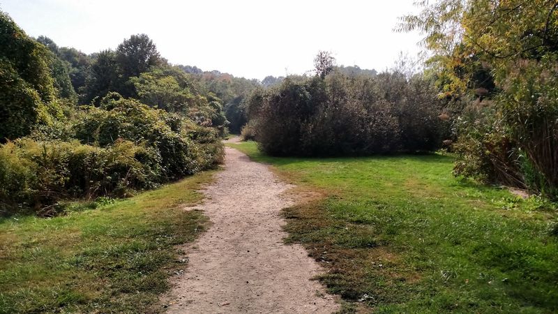 10 Haunted Roads In New York Locals Think Twice About Driving After Dark - Decor Hint Sweet Hollow Road, Huntington