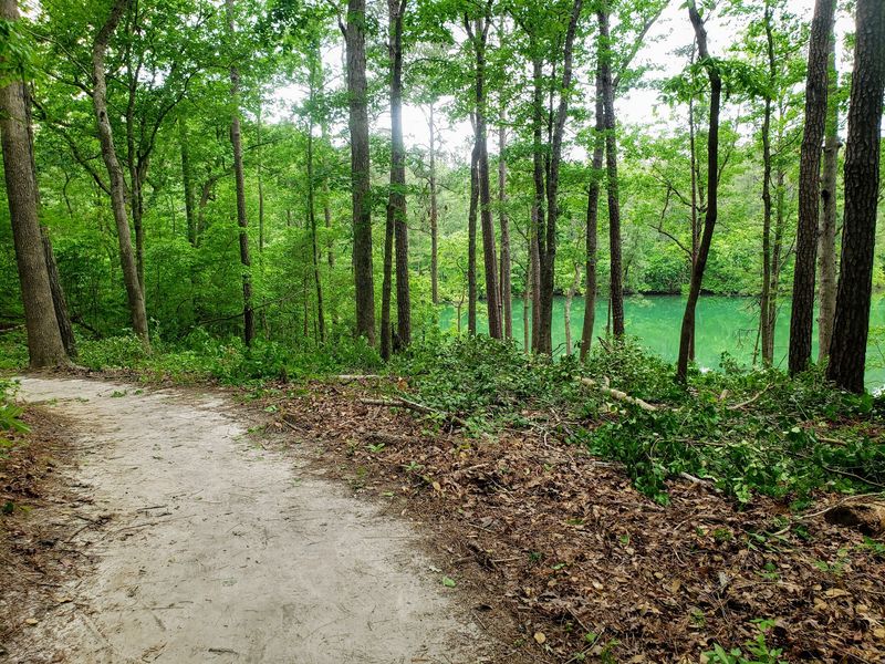 Bird Trail, Cliffs Of The Neuse State Park, Seven Springs