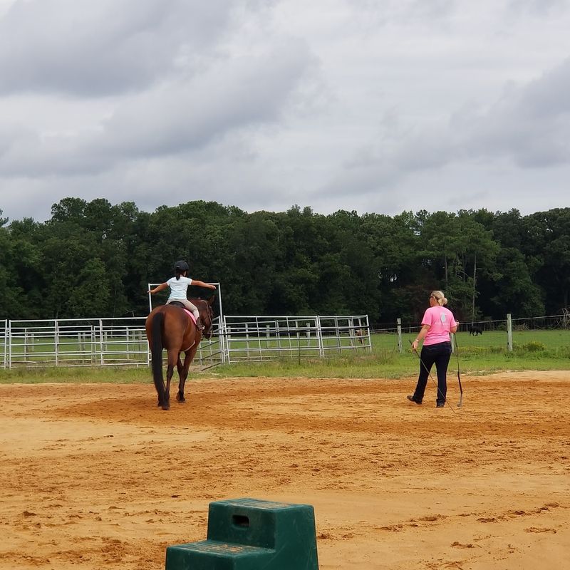Choose English Or Western Riding Based On Your Goals