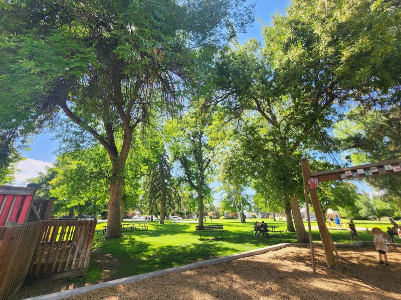 Shade Trees That Make Summer Bearable