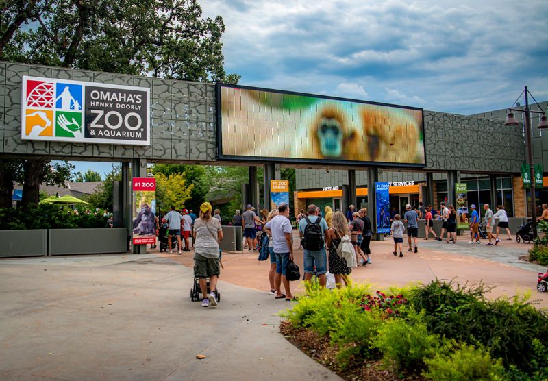 Nebraska Is Home To A Zoo Where A Glass Tunnel Lets Sharks Swim Right Over Your Head - Decor Hint Hours, Tickets, and Timing Your Omaha Trip