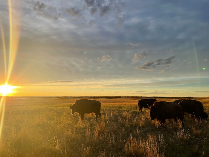 Sunset Tours Over the Niobrara Country