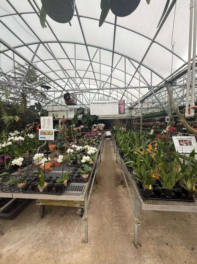 E.F.G. Orchids, DeLand
