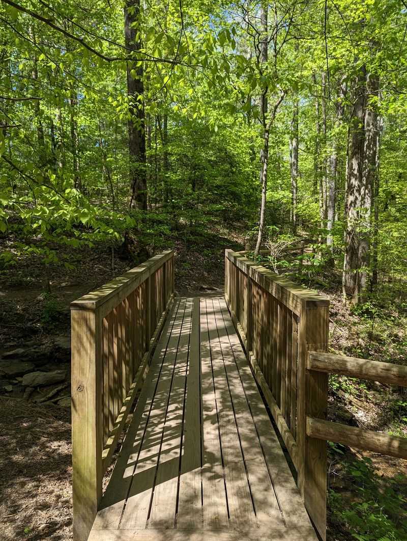 River Trail/Service Road Loop At Burgess Falls, Sparta