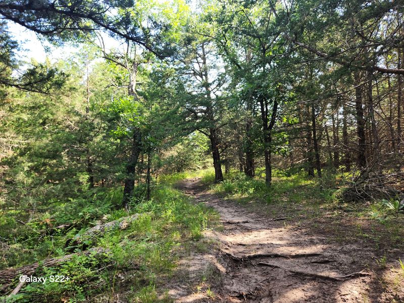 Trails Through Tallgrass and Timber