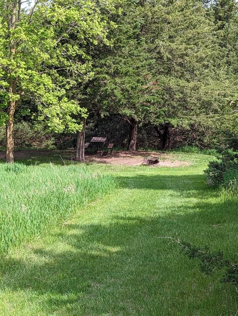 Tent Sites With Their Own Little Pocket of Woods