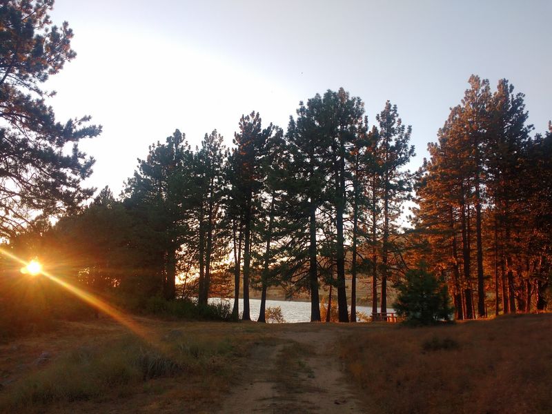 Fall Color Before Nightfall