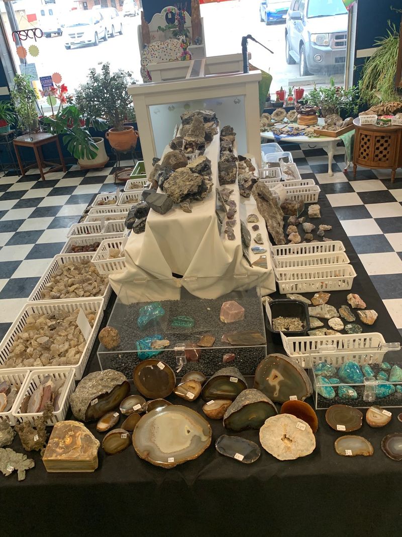 Fossils, Slabs and Raw Material