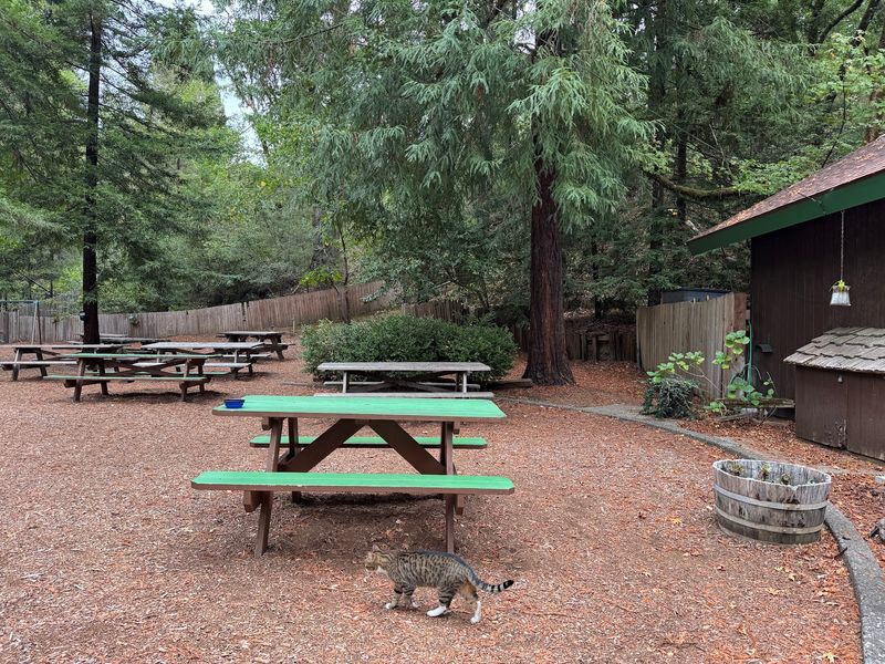 11 Remote Northern California Restaurants Where Getting There Is Half The Adventure - Decor Hint Chimney Tree Grill, Phillipsville