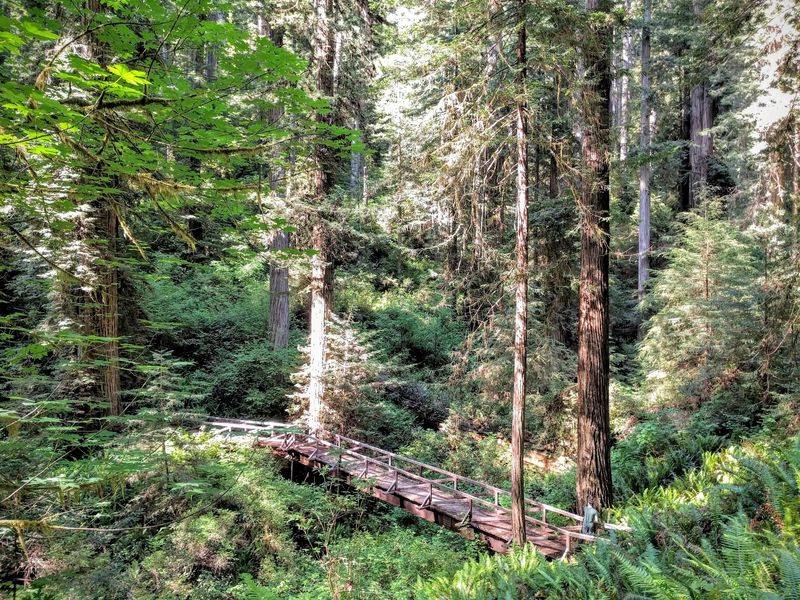 The Road Goes Car-Free For Hike And Bike Day