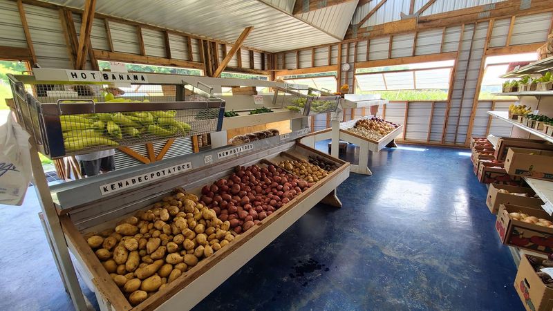 Kentucky Has Several Amish And Mennonite Communities, Not One