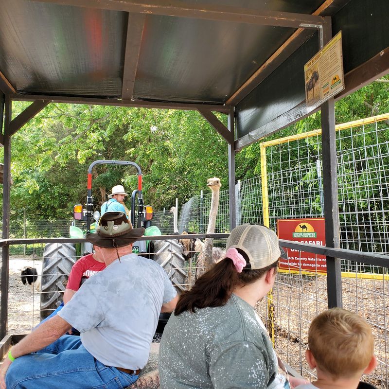 A Playground Built For Burning Off Energy