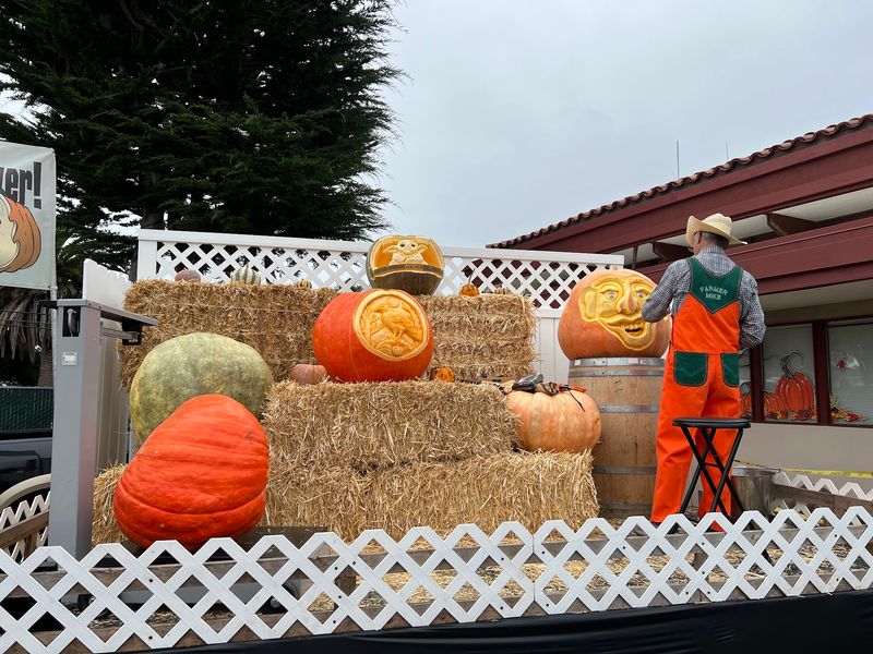 Half Moon Bay, Where Pumpkins Rule The Coast