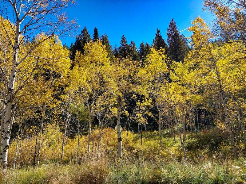 Bannock County