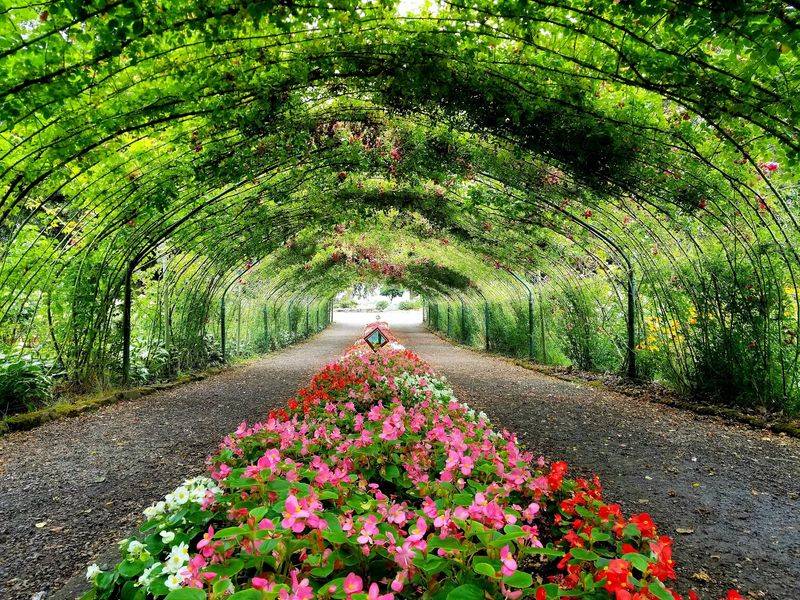 10 Affordable Washington Day Trips That Feel Breathtaking For Under $60 - Decor Hint Point Defiance Park