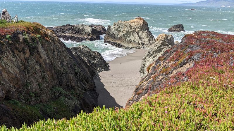 Bodega Bay
