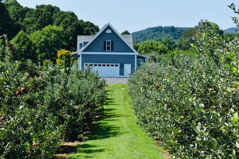 This North Carolina Apple Orchard Goes All Out For Fall With Pumpkins, Hot Donuts And Fresh Cider - Decor Hint Select Weekends Let You Head Into The Orchard And Pick Your Own Apples