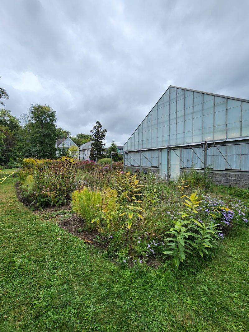 The Garden’s Story Reaches Back To 1899