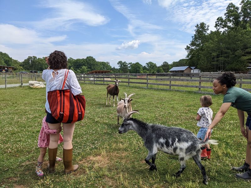 Piedmont Farm Animal Refuge - Pittsboro
