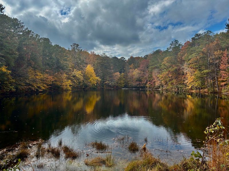 These Strange Forgotten Ruins In Georgia Are One Of The Biggest Hidden Secrets In The South - Decor Hint Trails Built For Every Energy Level