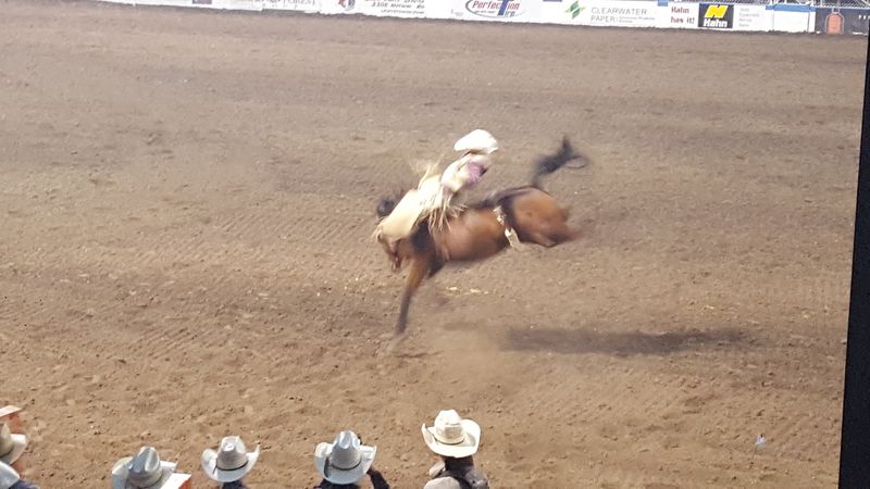 10 Idaho Rodeos So Wild They’re Worth Planning A Road Trip Around - Decor Hint Lewiston Roundup - Lewiston