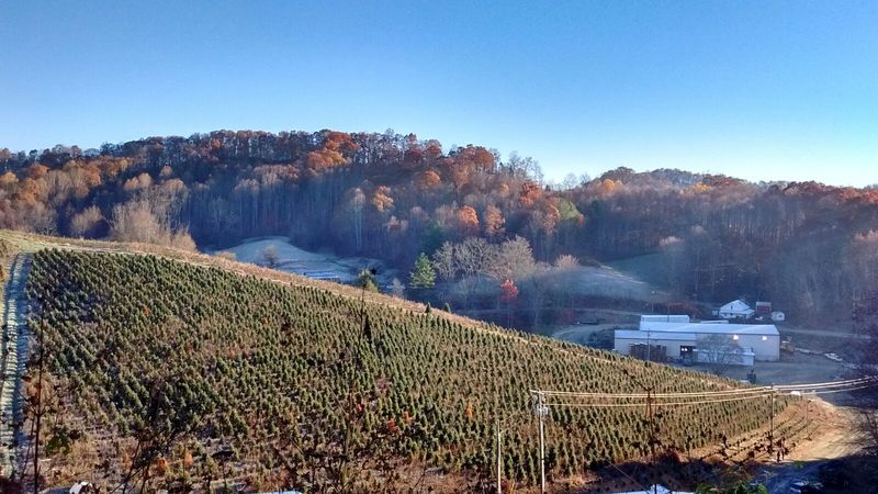 Walk The Old Virginia Creeper Railroad Route Through The Park