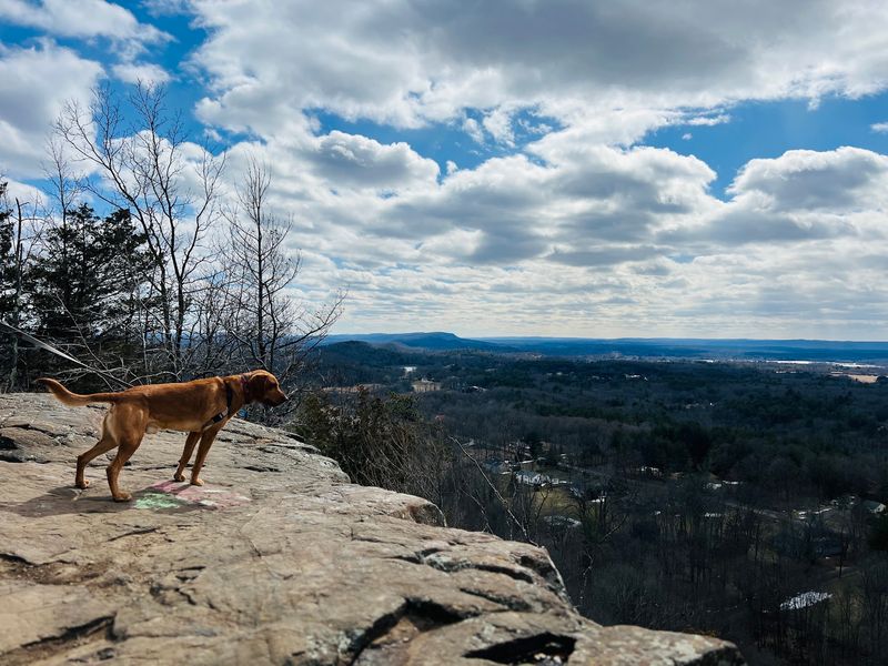 This 62-Mile Connecticut Trail Is The Ultimate Test For Serious Hikers - Decor Hint Basalt Spires Add Strange Beauty Up North