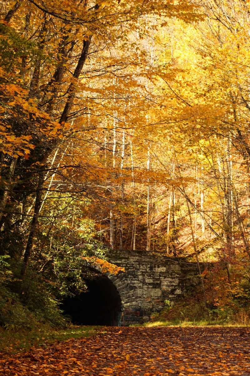 15 Abandoned North Carolina Places With Stories Creepier Than Any Haunted House - Decor Hint The Road To Nowhere, Bryson City