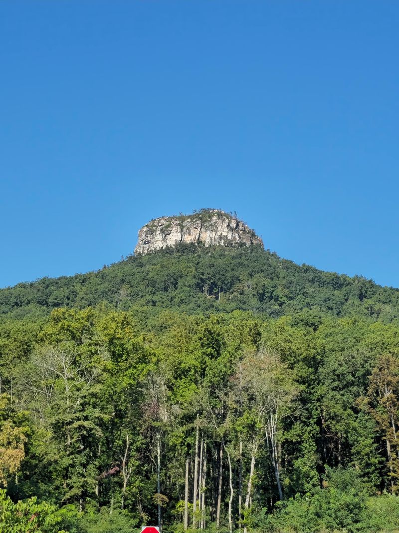 12 Dirt-Cheap Fall Day Trips In North Carolina You'Ll Want To Take This Year - Decor Hint Pilot Mountain State Park, Pinnacle