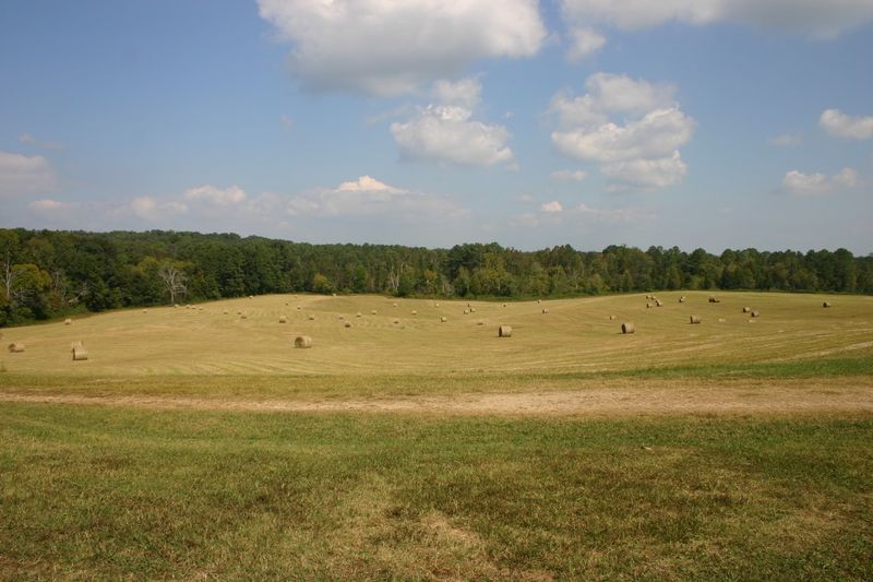Small Acreage, Big Ambition
