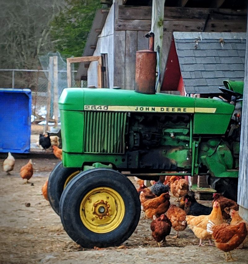 10 Connecticut Farms Where You Can Fill Your Freezer With Locally Raised Meat - Decor Hint Cold Spring Farm, Colchester