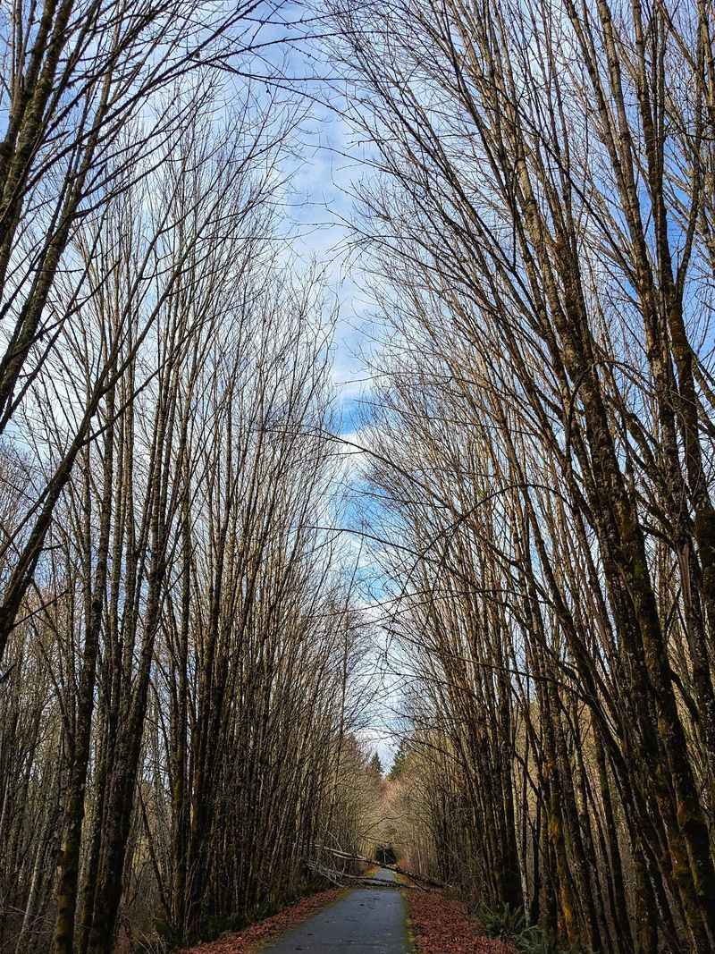 Chehalis Western Trail, Olympia