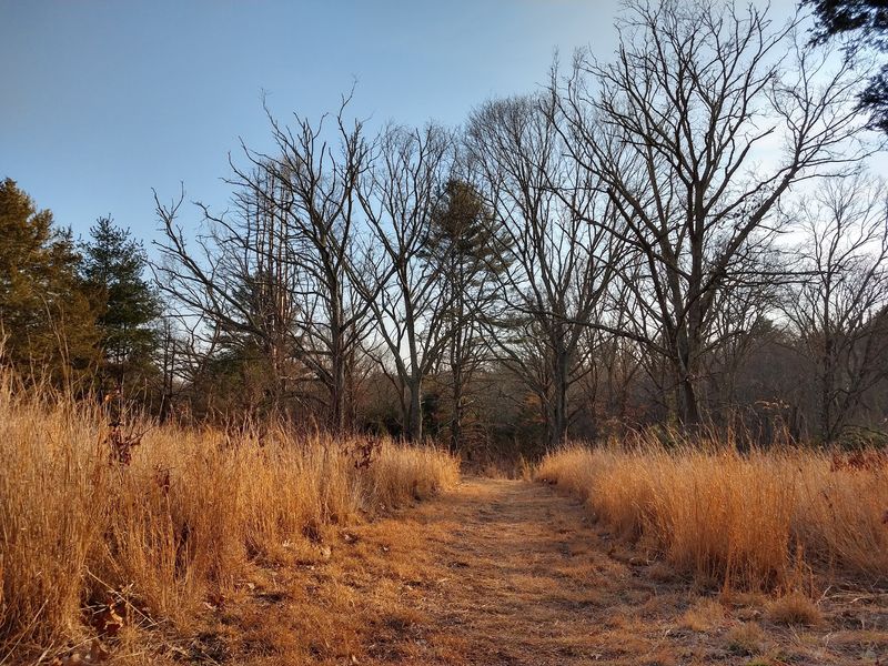Early Morning Offers The Best Wildlife Chances