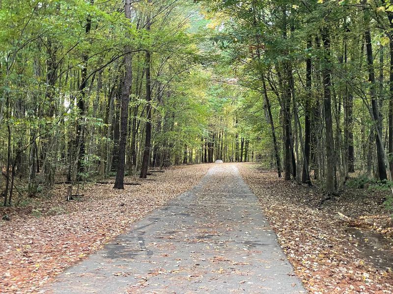 10 North Carolina Towns Where Coyotes Keep Showing Up And Locals Know To Stay Alert - Decor Hint Cary