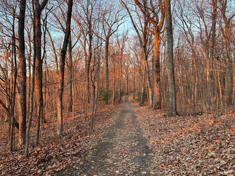 Metacomet Trail At Penwood State Park, Bloomfield