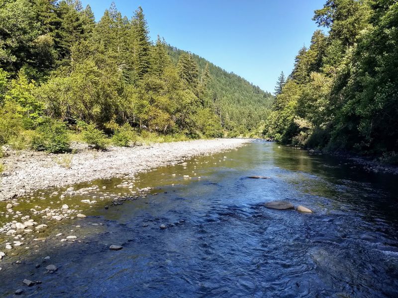This California Redwood Grove Looks Like Another Planet And Star Wars Actually Filmed Here - Decor Hint The Van Duzen River Gives A Second Reason To Stay