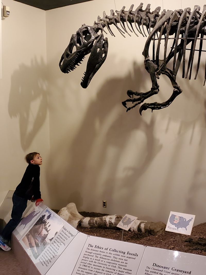 Star Shows at Mueller Planetarium