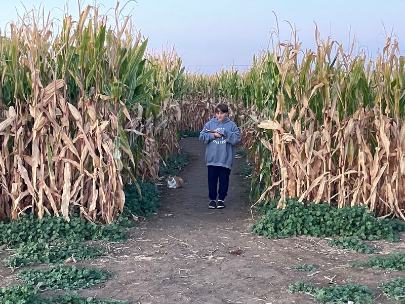 8 Idaho Mazes That Take Families At Least An Hour To Escape This October - Decor Hint Ten Mile Farms, Meridian, ID