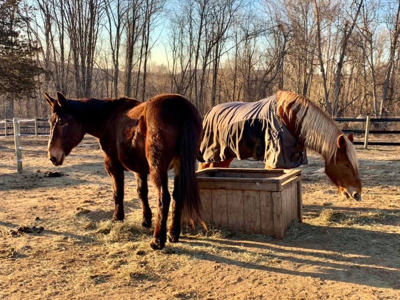 Care Comes Before Finding New Homes