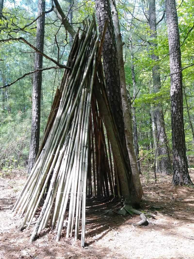 Annie Louise Wilkerson, MD Nature Preserve, Raleigh