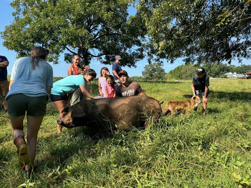This Middle-Of-Nowhere Georgia Farm Store Sells Fresh Cheese, Butter, And Grass-Fed Goods - Decor Hint Regenerative Farming Explained Without The Lecture